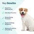 Pawfy Probiotic Soft Chews | Digestive, Gut, Immune Support for Dogs, Diarrhea & Constipation Relief