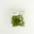 Aquarium Plant Center (12 60+ Water Spangle, Salvinia Minima, Live Aquarium/Aquatic/Freshwater/Floating/Pond