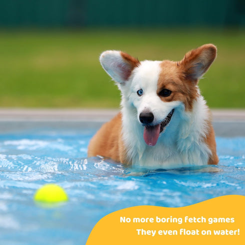 Pup’s Pick Squeaky Tennis Balls for Dogs, 12-Pack 2.5" in Bright Colors (Yellow Blue Pink Orange), Fun Fetch Balls with