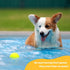 Pup’s Pick Squeaky Tennis Balls for Dogs, 12-Pack 2.5" in Bright Colors (Yellow Blue Pink Orange), Fun Fetch Balls with