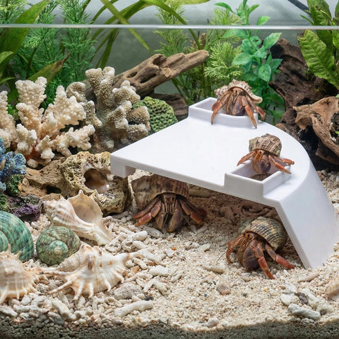 DQITJ 1 Pcs Hermit Crab Cave Habitat Hermit Crab Climbing Toy Tank Accessories (Arc-Shaped Design, White)