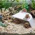 DQITJ 1 Pcs Hermit Crab Cave Habitat Hermit Crab Climbing Toy Tank Accessories (Arc-Shaped Design, White)