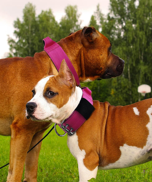 Dog Collar for Large Dogs - 2 Hot Pink Collars with Handle for Extra Large Breeds, Heavy Duty K9 Nylon Tactical Collar