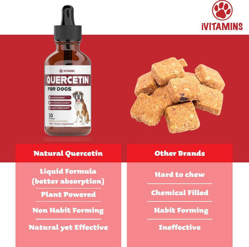 Quercetin for Dogs - Allergy Relief Support, Bacon Flavor, 1 Pack of Quercetin Supplements for Dog Allergies