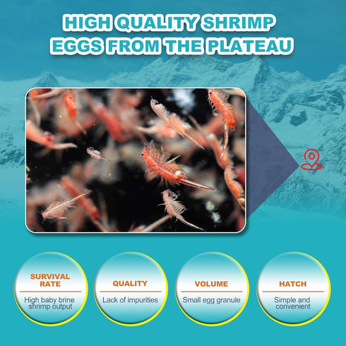 90% 150G Dylan's cabin Brine Shrimp Eggs Fish Food - Hatch Rate for Aquatic Foods Baby Aquarium Fish Freshwater