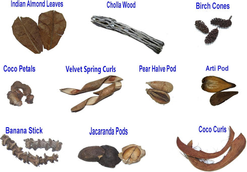 20-Piece Aquarium Botanical Sampler Box Lot with Indian Almond Leaves, Cholla Wood, Birch Cones, Pods, Coco Petals & Velvet Spring Curls for Blackwater Aquariums