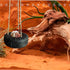 QUWHIZ Hermit Crab Tire Swing Toy Suction Cup Hook Climbing Toy Terrarium Decor Climbing Swing for Hermit Crabs, Small