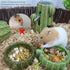 2 Packs Hamster Food Bowl - Cactus Ceramic Feeding Dish for Small Animals (Green+Dark Green)