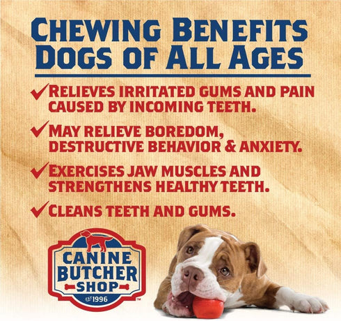 Duck Necks for Dogs - All-Natural Chews, Raised & Made in USA (Pack of 12)