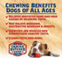 Duck Necks for Dogs - All-Natural Chews, Raised & Made in USA (Pack of 12)