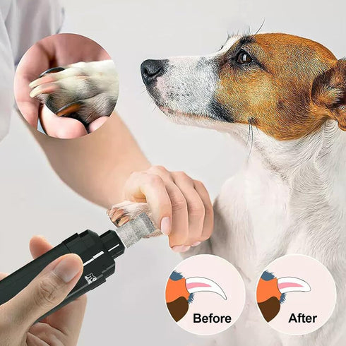 Diamond Dog Nail Grinder Bits - FOCSTOL 5pcs 1/8'' Rotary Bit for Dogs & Pets Nail Care