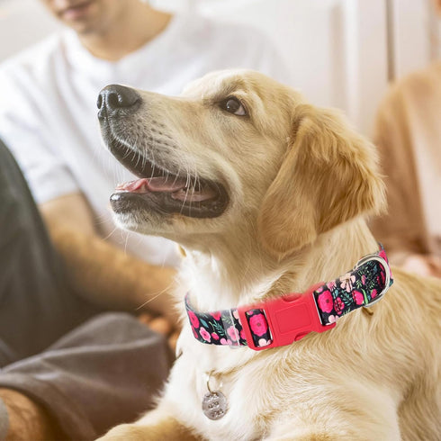 Girl Dog Collar with Red Flowers, Quick Release Buckle & Adjustable Comfy Pet Collar for Small Medium Large XL Dogs