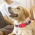 Girl Dog Collar with Red Flowers, Quick Release Buckle & Adjustable Comfy Pet Collar for Small Medium Large XL Dogs