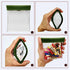 Golf Tees Pouch Bag with Clip, Clear Transparent Pocket for Accessories & Valuables | 15 Bamboo Tees Included (Green)