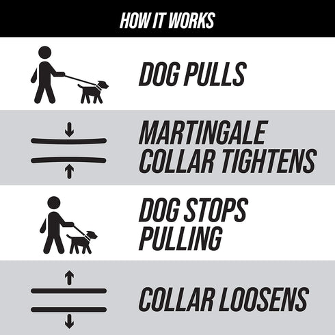 Leashboss Martingale Collar for Dogs, Reflective Nylon Dog Collar for Large, Medium and Small Dogs, No Pull Pet