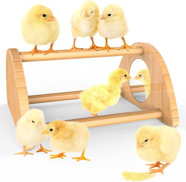 Mini Chick Perch with Mirror, Strong Bamboo Roosting Bar for Coop and Brooder, Training Perch for Baby Chicks, Easy to