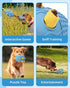 Interactive Dog Toy with Natural Rubber Soccer Design, Dental Care, Pet Energy Relief Brain Teaser Toy, Activity