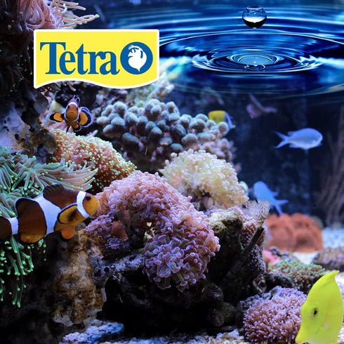 1.69-Ounce, 50ml, (16837) Tetra BettaSafe, Aquarium Water Conditioner For Bettas, Golds & Yellows