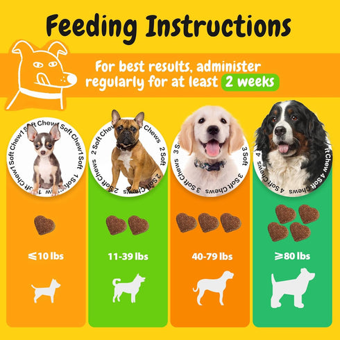 Immune 50ct) PENPEN Probiotics for Dogs, Dogs Probiotics for Digestive Health, Multi-Probiotic and Enzyme Blend Promote
