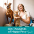 PB Pets Organic Hemp Oil for Dogs and Cats - Liquid Supplement for Calming, Hip & Joint Support, and Overall Wellness