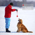 UEETEK Red Dog Training Ball on Rope: 2.95 Inch Diameter Rubber Toy for Puppy Fetch Catch Throw Training
