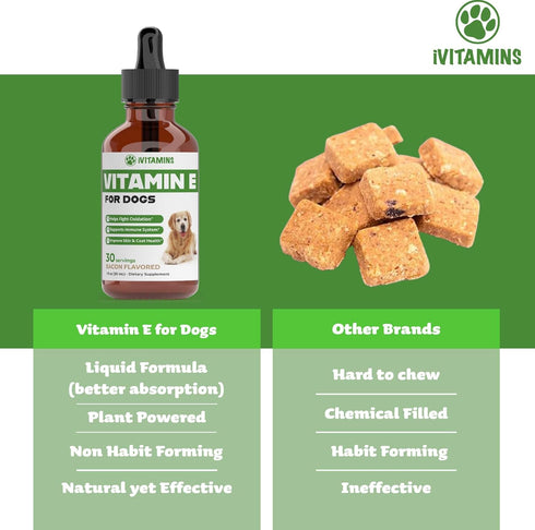 Vitamin E Supplement for Dogs | Dog Immune Support | 1 fl oz | Vitamin E Oil Dog | Dog Vitamins E | Canine Vitamin E