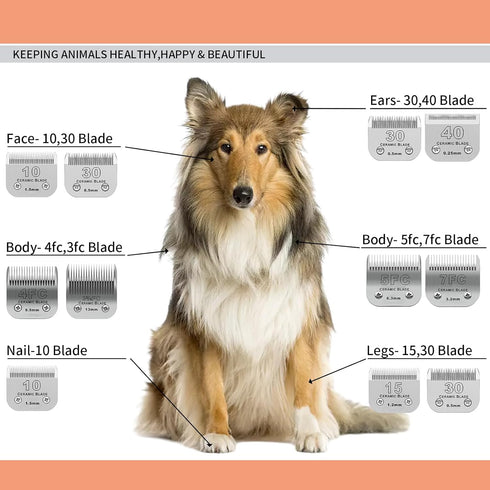 3 Pack 10# Detachable Pet Dog Grooming Ceramic Blades, Compatible with Andis, Oster A5, Wahl KM-10 Series, Size #10