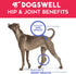 DOGSWELL Hip & Joint Slices Functional Dog Treats, Beef, 8 oz Bag
