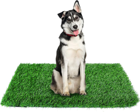 GLOBREEN 34" x 23" Fake Grass Pee Pad for Dogs Potty Training