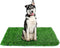 GLOBREEN 34" x 23" Fake Grass Pee Pad for Dogs Potty Training