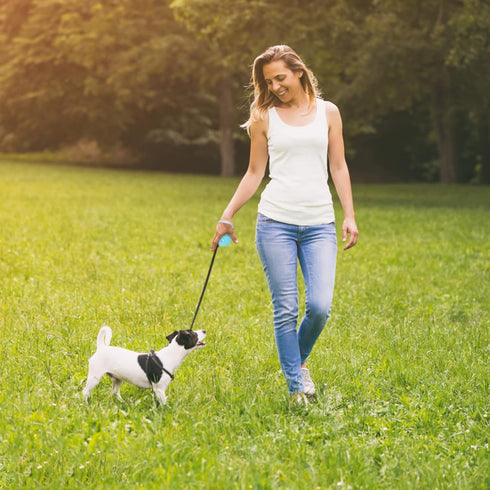 Retractable Dog Leash for Small and Medium Dogs up to 22lbs, 9.8ft Strong Nylon Tape, Hands Free (Blue)
