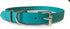Sparky Pet Co 3/4" Biothane Replacement Roller Buckle Dog Collar, Teal