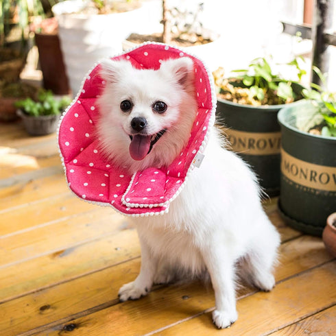 Adjustable Soft Recovery Cat Cone, Dog Protective Collar for Cats and Small Dogs, Pink