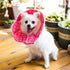 Adjustable Soft Recovery Cat Cone, Dog Protective Collar for Cats and Small Dogs, Pink
