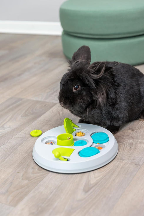 TRIXIE Hide N Slide Rabbit Activity - Small Animal Interactive Toy for Mental Stimulation, Enrichment, Hide and Seek