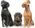40PCS Christmas Dog Bows - Cute Puppy Small Bowknot Hair Bows with Rubber Bands - Pet Grooming Accessories for Party