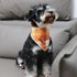 MR. CHUBBYFACE Fall Orange Plaid Dog Bandanas - Reversible Triangle Bibs for Dogs & Cats
