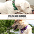 Dog Tag Silencer, Brown Insert Treats Above - Quiet Noisy Pet Tags, Fits Up to Four Pet IDs, Durable Nylon Cover