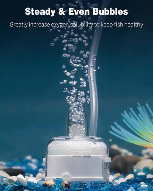 Pawfly Mini Aquarium Sponge Filter – Internal Filter for Fish Tanks up to 5 Gallon (Air Pump Not Included)