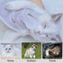 Pet Grooming Glove - Gentle Deshedding Brush Glove for Daily Care and Traveling - Perfect for Long & Short Fur