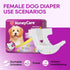 40 Count, (Pack 1, 40 Count HONEY CARE All-Absorb Disposable Female Dog Diapers Small Size, Improved, Super Absorbent