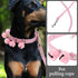 Pet Collar and Leash Combo with Jingle Bell Dog Collar and Pulling Leash Rope Strap for Outdoor Daily Use