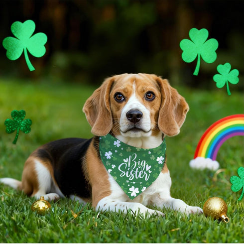 ZPPRJF St. Patricks Day Big Sister Dog Bandana, Pet Pregnancy Announcement, Shamrock Irish Style Pet Triangle Scarf