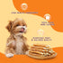 Snacks,10.6 oz Jungle Calling Dog Treats, Chicken Wrapped Rawhide Sticks for Dogs, Grain-Free Natural Small Dogs