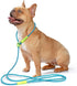 DaFuEn 6 FT Lightweight Dog Slip Lead, Classic Training Leash for Small Medium Puppies, No-Pull Slip Leash and Collar