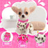 2 Pieces Chihuahua Sweater - Dog Sweater for Small Dogs, Teacup Clothes for Extra Small Dogs, Warm Winter Clothing (XS)