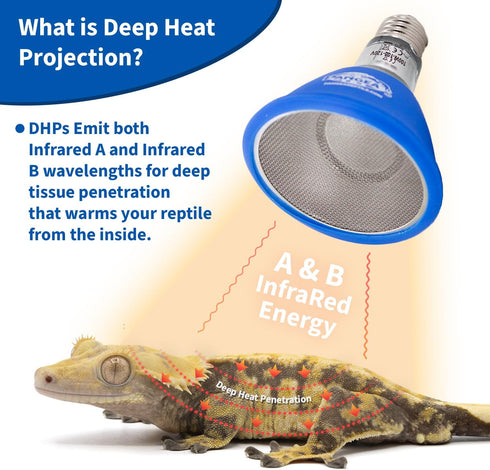 50W Bulb (50 Pangea Deep Heat Projector for Reptiles with Carbon Fiber Filament, Core Warming Infrared A and B