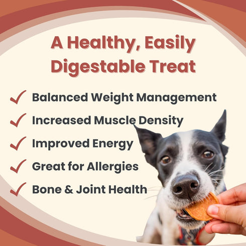 Dog Training Treats - Chicken Chips, Single Ingredient, Healthy Treats for All Dog Breeds and Puppies