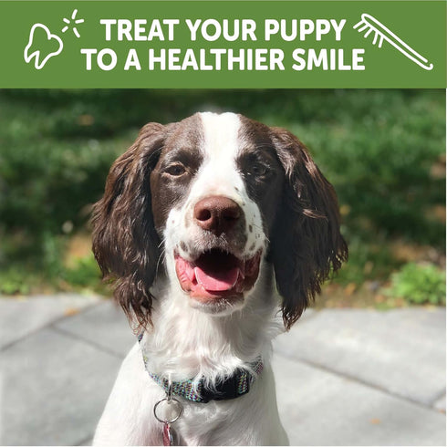 Whimzees by Wellness Dental Treats for Puppies, Natural, Grain Free, Helps Clean Teeth & Freshen Breath