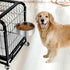 Stainless Steel Dog Bowl, Hanging Food Water Bowl for Dogs, Cats, Rabbits, Birds, Small Animals (X-Large, 2pcs)